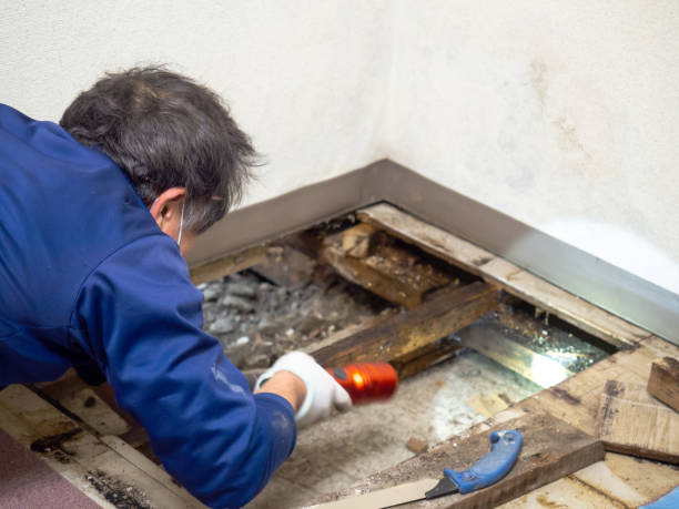 Best Crawl Space Mold Removal  in Garwood, NJ