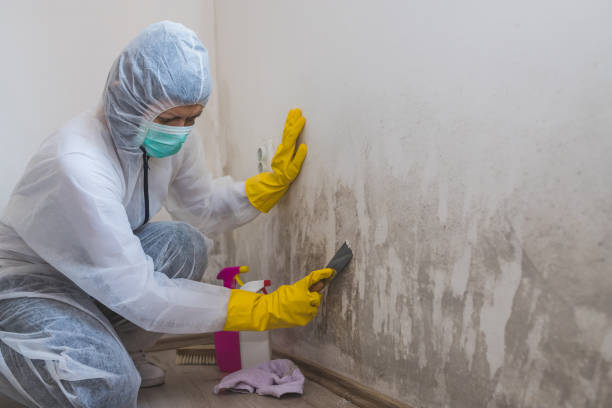 Best Crawl Space Mold Removal  in Garwood, NJ