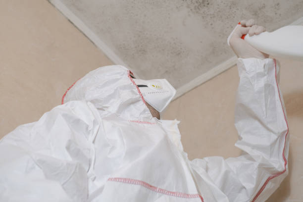 Best Mold Removal and Inspection  in Garwood, NJ