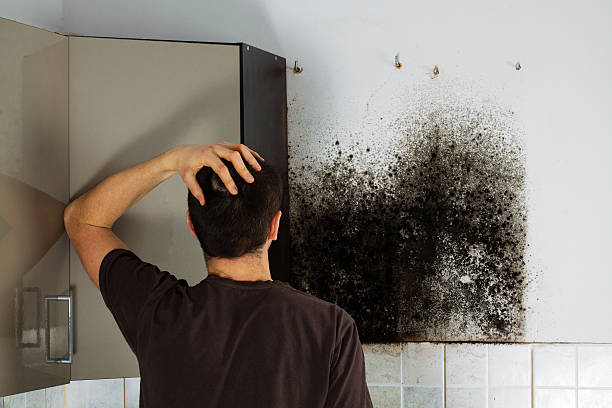 Best Fast Mold Removal  in Garwood, NJ